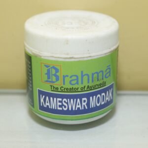 Kameswar modak