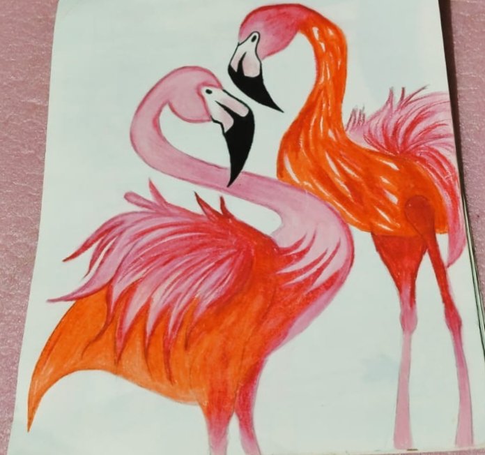 Drawing of flamingos